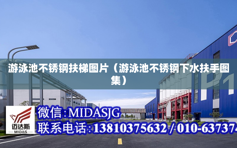 游泳池不锈钢扶梯图片（游泳池不锈钢下水扶手图集）