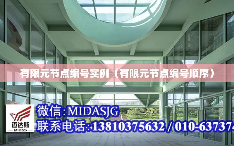 有限元节点编号实例（有限元节点编号顺序）