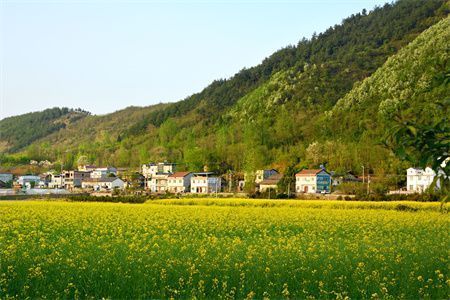 地基沉降是什么意思(地基沉降对建筑安全的影响) 结构电力行业施工 第3张 地基沉降是什么意思(地基沉降对建筑安全的影响) 结构电力行业施工 第3张