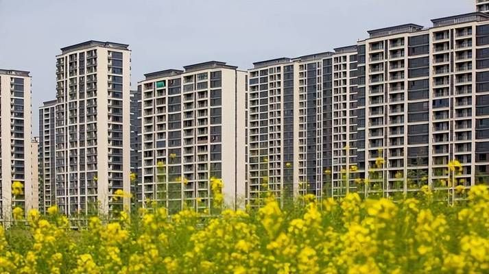 房屋承重检测鉴定报告多少钱(楼房平移技术的安全措施) 建筑施工图施工 第5张 房屋承重检测鉴定报告多少钱(楼房平移技术的安全措施) 建筑施工图施工 第5张