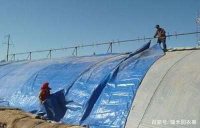 棚顶加固(棚顶加固施工的安全措施) 钢结构框架施工 第4张 棚顶加固(棚顶加固施工的安全措施) 钢结构框架施工 第4张