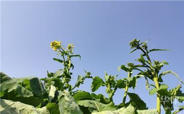 北京老旧房屋改造补贴政策最新文件(北京居家适老化改造补贴政策分享老旧房屋改造补贴额度) 钢结构钢结构停车场施工 第2张 北京老旧房屋改造补贴政策最新文件(北京居家适老化改造补贴政策分享老旧房屋改造补贴额度) 钢结构钢结构停车场施工 第2张