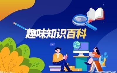 安装20平方米光伏板多少钱一平方（安装20平方米光伏板每平方米的价格）