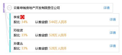 坤瑞房地产开发公司(三家名为“坤瑞房地产开发”的公司) 结构框架设计 第5张 坤瑞房地产开发公司(三家名为“坤瑞房地产开发”的公司) 结构框架设计 第5张
