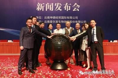 坤德国际控股集团(坤德国际控股集团是一个多元化的企业集团) 钢结构门式钢架施工 第4张 坤德国际控股集团(坤德国际控股集团是一个多元化的企业集团) 钢结构门式钢架施工 第4张