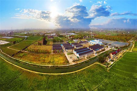 地基下沉补救最佳方法有哪些(地基下沉怎么办) 钢结构网架设计 第3张 地基下沉补救最佳方法有哪些(地基下沉怎么办) 钢结构网架设计 第3张