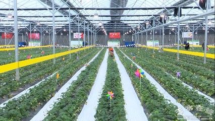 山东坤德农业有限公司(农业设备加工技术哪家强,山东农业企业排行榜) 结构砌体设计 第2张 山东坤德农业有限公司(农业设备加工技术哪家强,山东农业企业排行榜) 结构砌体设计 第2张