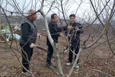找网架活(网架工薪资待遇如何) 结构工业装备施工 第3张 找网架活(网架工薪资待遇如何) 结构工业装备施工 第3张