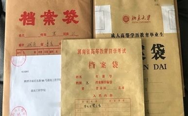 北京档案服务机构名单最新查询(北京市人才市场服务机构新增多家第三方档案托管机构) 建筑效果图设计 第3张 北京档案服务机构名单最新查询(北京市人才市场服务机构新增多家第三方档案托管机构) 建筑效果图设计 第3张