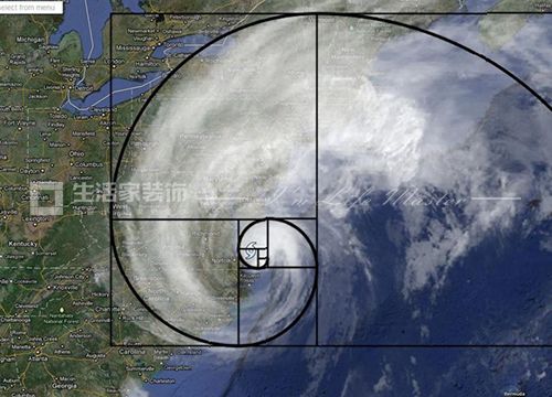 室内设计中螺旋楼梯案例(螺旋楼梯在室内设计中是一种独特且具有艺术感的元素) 装饰家装设计 第2张 室内设计中螺旋楼梯案例(螺旋楼梯在室内设计中是一种独特且具有艺术感的元素) 装饰家装设计 第2张