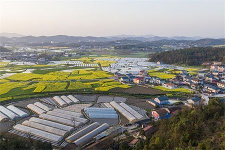 承重墙打槽 全国钢结构设计公司名录 第3张 承重墙打槽 全国钢结构设计公司名录 第3张