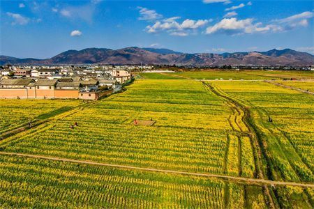 承重墙开门洞怎么加固(承重墙加固前后对比案例,承重墙加固材料选择指南) 装饰家装施工 第1张 承重墙开门洞怎么加固(承重墙加固前后对比案例,承重墙加固材料选择指南) 装饰家装施工 第1张