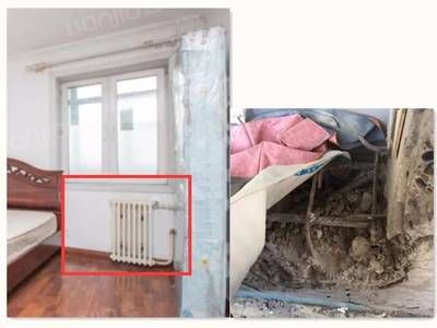 承重墙可以砸了吗(承重墙不能随意拆除) 结构砌体施工 第3张 承重墙可以砸了吗(承重墙不能随意拆除) 结构砌体施工 第3张