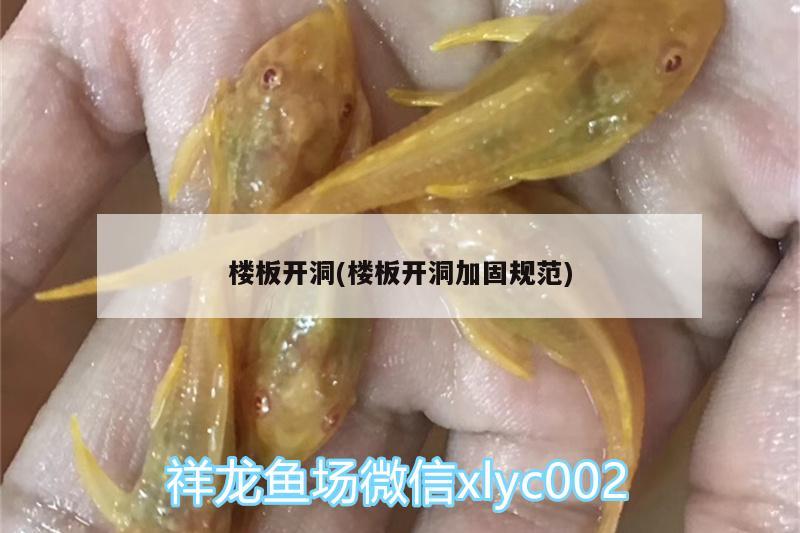 楼板开洞(楼板开洞加固规范)