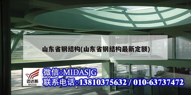 山东省钢结构(山东省钢结构最新定额)