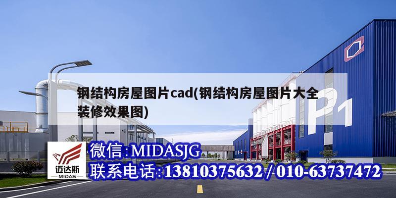 钢结构房屋图片cad(钢结构房屋图片大全装修效果图)
