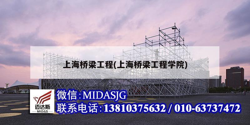 上海桥梁工程(上海桥梁工程学院)