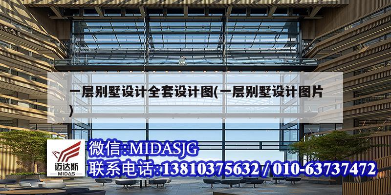 一层别墅设计全套设计图(一层别墅设计图片)