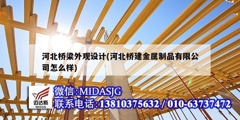 河北桥梁外观设计(河北桥建金属制品有限公司怎么样)
