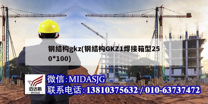 钢结构gkz(钢结构GKZ1焊接箱型250*100)