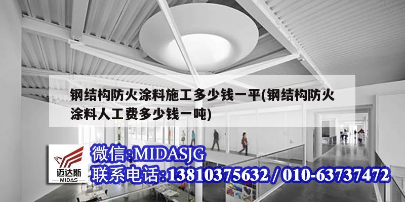 钢结构防火涂料施工多少钱一平(钢结构防火涂料人工费多少钱一吨)