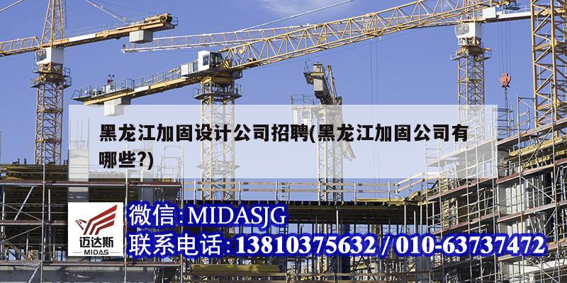 黑龙江加固设计公司招聘(黑龙江加固公司有哪些?)