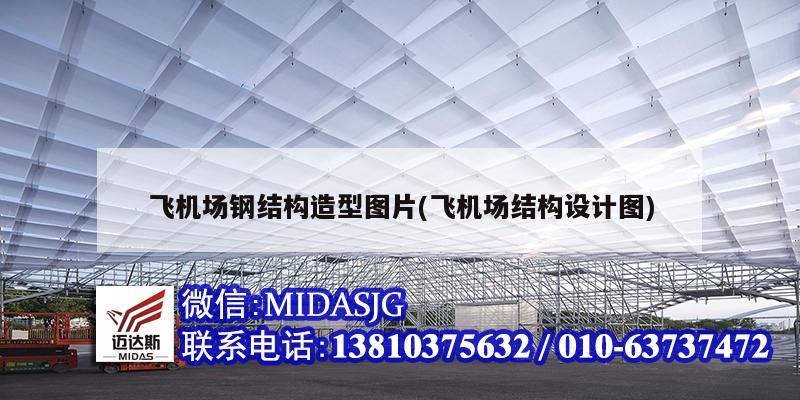 飞机场钢结构造型图片(飞机场结构设计图)