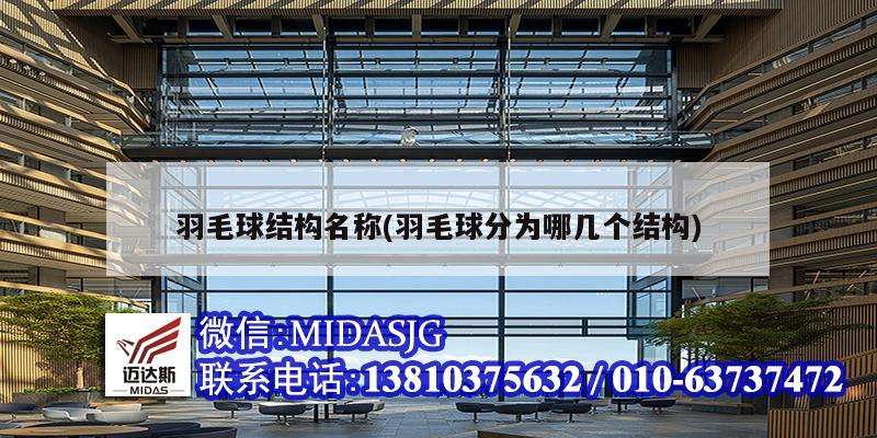 羽毛球结构名称(羽毛球分为哪几个结构)